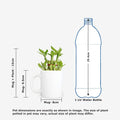 Most Awesome Dad Lucky Bamboo Mug Planter Pot - Feng Shui Gift