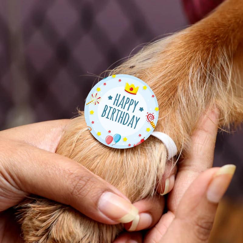 TheYayaCafe Dog Rakhi Rakshabandhan Gifts for Pets Paw Accessories, Happy Birthday Rakhi for Dog, Cat, Puppy, Fur Baby from Sister, Didi, Behan