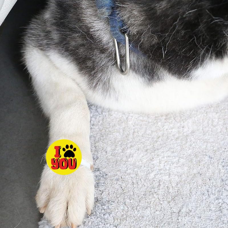 TheYaYaCafe Dog Rakhi Rakshabandhan Gifts for Pets Paw Accessories - I Paw You