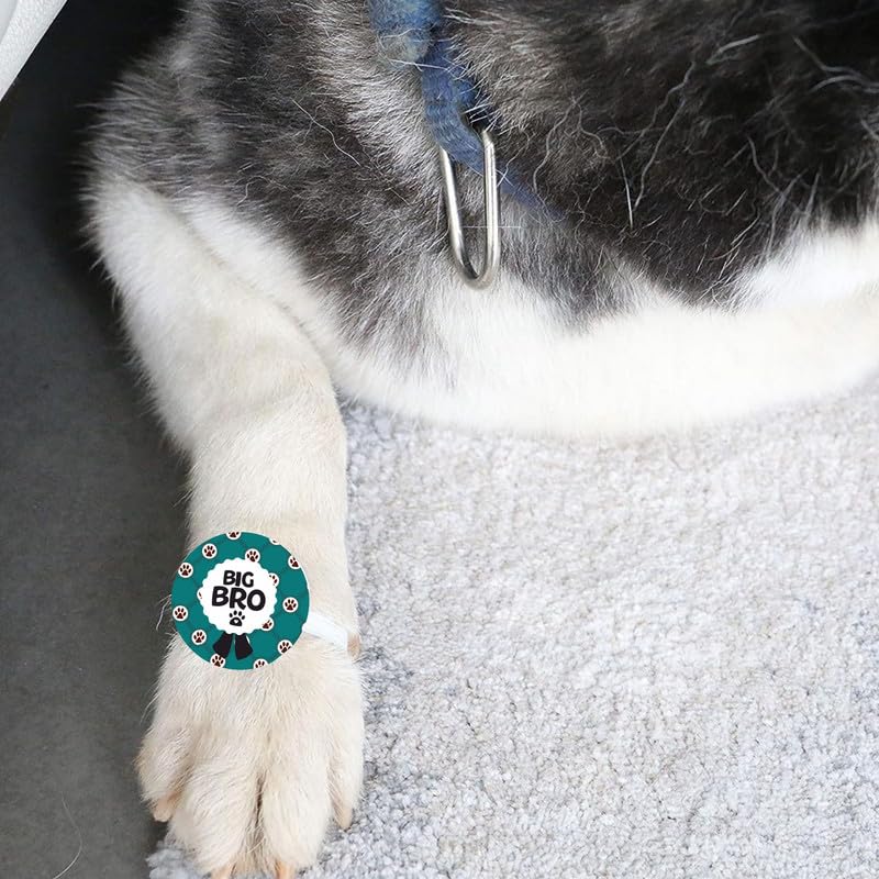 TheYayaCafe Dog Rakhi Rakshabandhan Gift Set Paw Accessories for Pets, Acrylic Rakhi for Dogs with Elastic Band, Cats, Puppies on Raksha Bandhan, Big Bro