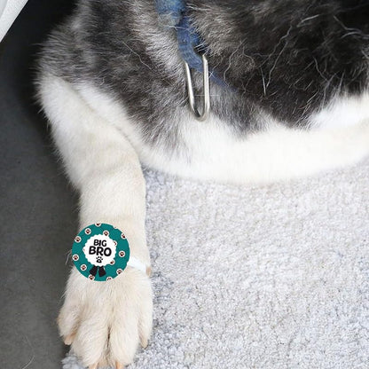 TheYayaCafe Dog Rakhi Rakshabandhan Gift Set Paw Accessories for Pets, Acrylic Rakhi for Dogs with Elastic Band, Cats, Puppies on Raksha Bandhan, Big Bro