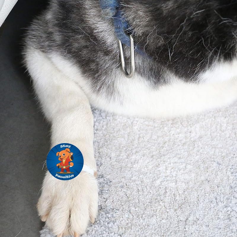 TheYayaCafe Dog Rakhi Rakshabandhan Gifts for Pets Paw Accessories - Stay Pawsitive, Rakhi for Dog, Cat, Puppy, Pet Lovers, Raksha Bandhan Gift for Fur Baby, Brother, Sister