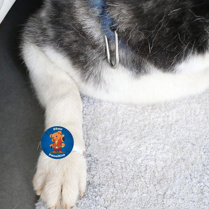 TheYayaCafe Dog Rakhi Rakshabandhan Gifts for Pets Paw Accessories - Stay Pawsitive, Rakhi for Dog, Cat, Puppy, Pet Lovers, Raksha Bandhan Gift for Fur Baby, Brother, Sister