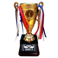 Awesome Daddy Ji Award Trophy for Father