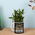 Best Father-in-Law 2-Layer Lucky Bamboo Plant Mug Planter