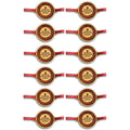 Engraved Rakhi Combo Pack of 10 - Princess Protection Agency