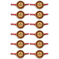 Princess Protection Agency Engraved Rakhi, Pack of 12