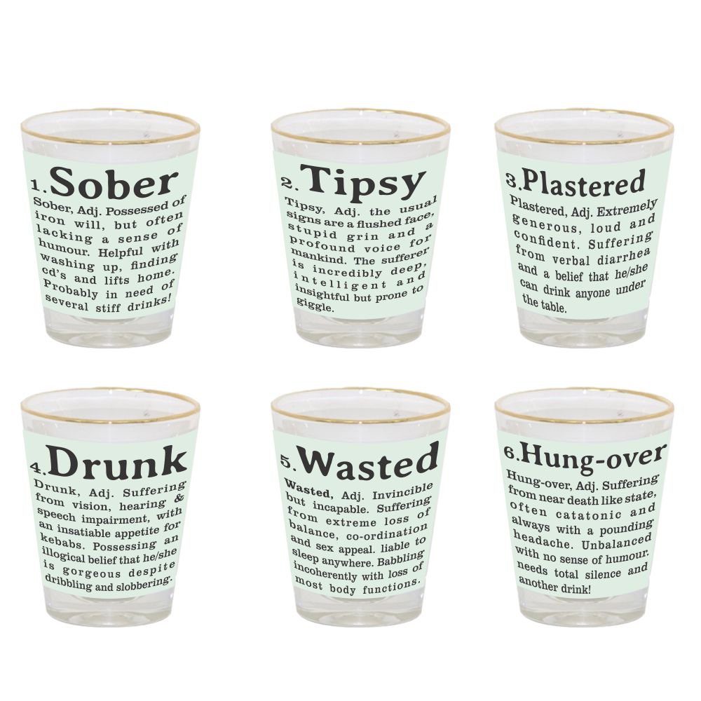 Drunk-and-Wasted-Shot-Glasses-Set-of-6_