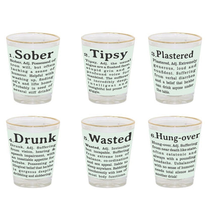 Drunk-and-Wasted-Shot-Glasses-Set-of-6_