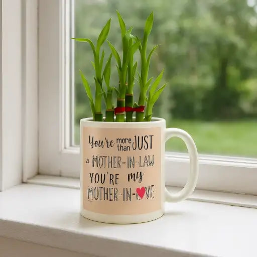 More Than Mother in Law Planter