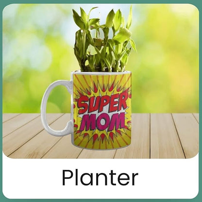 Super Mom Set of 6