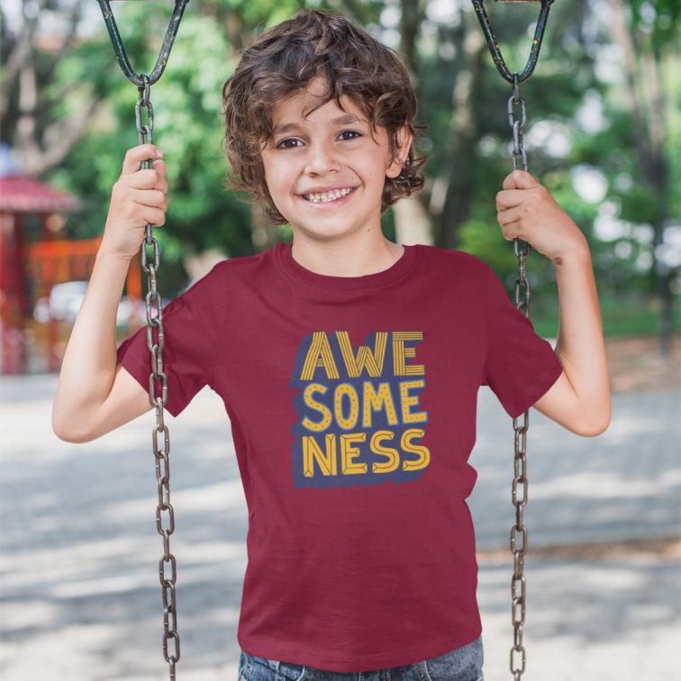 Awesome Ness Printed boys T-Shirt