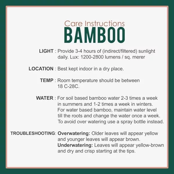 bamboo Planter (1)
