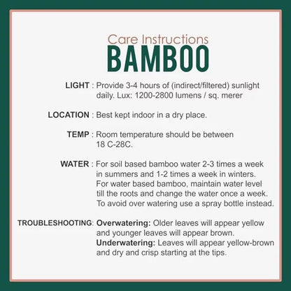 bamboo Planter (1)