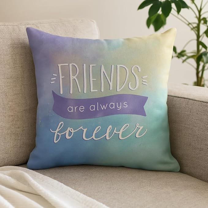friends forever cushion