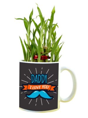 Daddy I Love You Feng Shui Lucky Bamboo Plant Indoor Mug Planter Pot