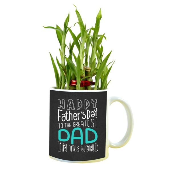 Happy Fathers 'day The Greatest Dad in The World Feng Shui Lucky Bamboo Plant Indoor Mug Planter Pot