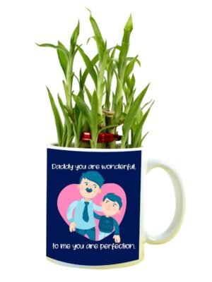 Daddy to Me You are Perfection Feng Shui Lucky Bamboo Plant Indoor Mug Planter Pot