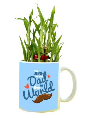 You are The Best Dad in The World Feng Shui Lucky Bamboo Plant Indoor Mug Planter Pot