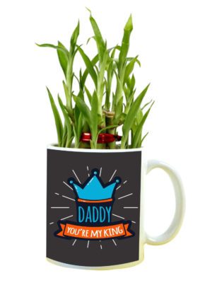 Daddy You are My King Feng Shui Lucky Bamboo Plant Indoor Mug Planter Pot