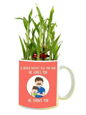 Birthday Gifts for Father A Father Shows You Love Feng Shui Lucky Bamboo Plant Indoor Mug Planter Pot