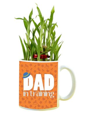 Dad in Training Feng Shui Lucky Bamboo Plant Indoor Mug Planter Pot