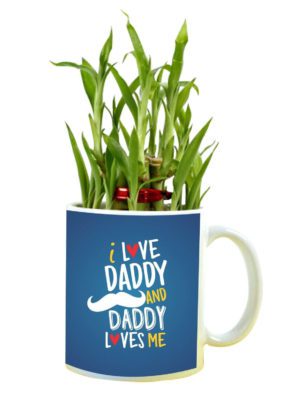 I Love Daddy and Daddy Loves Me Feng Shui Lucky Bamboo Plant Indoor Mug Planter Pot