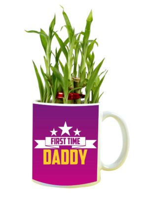 First Time Daddy Feng Shui Lucky Bamboo Plant Indoor Mug Planter Pot