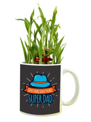 100 Percent Pure Super Dad Feng Shui Lucky Bamboo Plant Indoor Mug Planter Pot