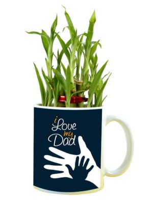 I Love My Dad Feng Shui Lucky Bamboo Plant Indoor Mug Planter Pot