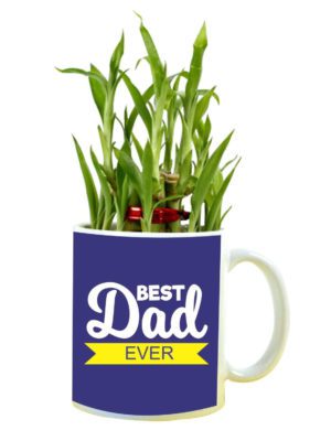 Best Dad Ever Feng Shui Lucky Bamboo Plant Indoor Mug Planter Pot