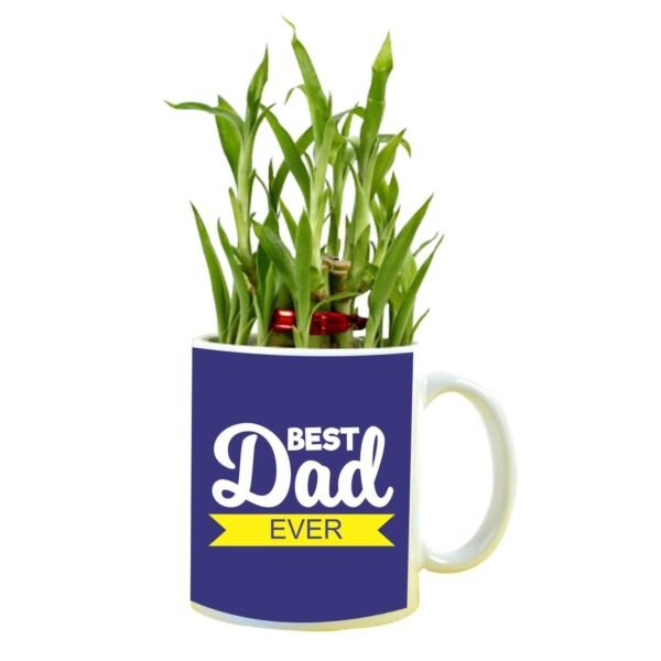 Best Dad Ever Feng Shui Lucky Bamboo Plant Indoor Mug Planter Pot