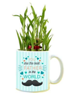 Birthday Gifts for Father You are The Best Father in The World Feng Shui Lucky Bamboo Plant Indoor Mug Planter Pot