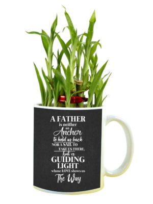 Birthday Gifts for Father A Father is A Guiding Light Feng Shui Lucky Bamboo Plant Indoor Mug Planter Pot