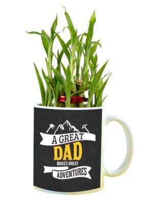 A Great Dad Makes Great Adventures Feng Shui Lucky Bamboo Plant Indoor Mug Planter Pot