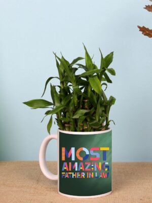 Lucky Bamboo Mug Planter Indoor Plants - 2 Layer Feng Shui for Wealth, Prosperity for Funny Teasing Father-in-Law