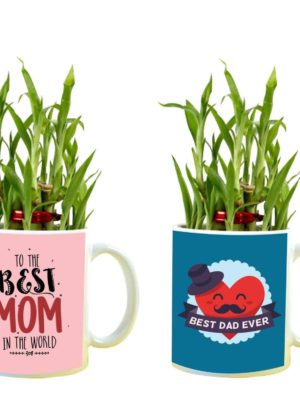 Birthday Gifts for Mom Dad Feng Shui Lucky Bamboo Plant Indoor Mug Planter Pot Set of 2 - Mom Dad Loved You