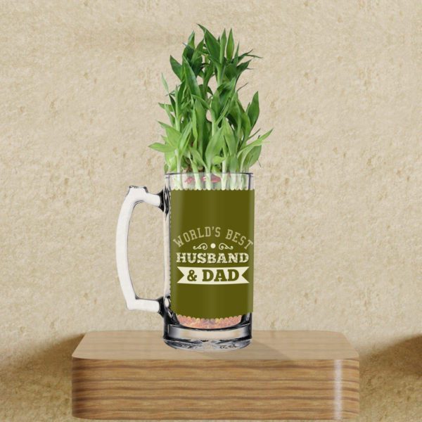 Lucky Bamboo Planter Indoor Plants_1 Tier with Printed Mug - Worlds Best Husband and Dad