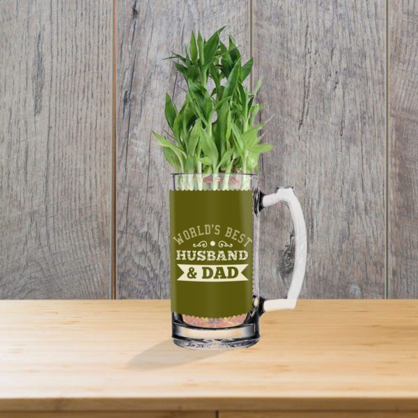 Lucky Bamboo Planter Indoor Plants_1 Tier with Printed Mug - Worlds Best Husband and Dad