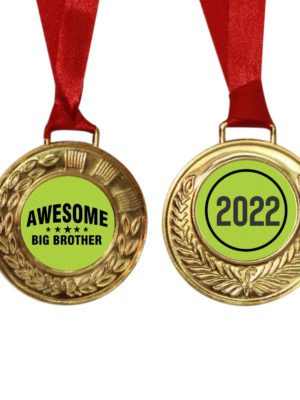 Awesome Big Brother Medal