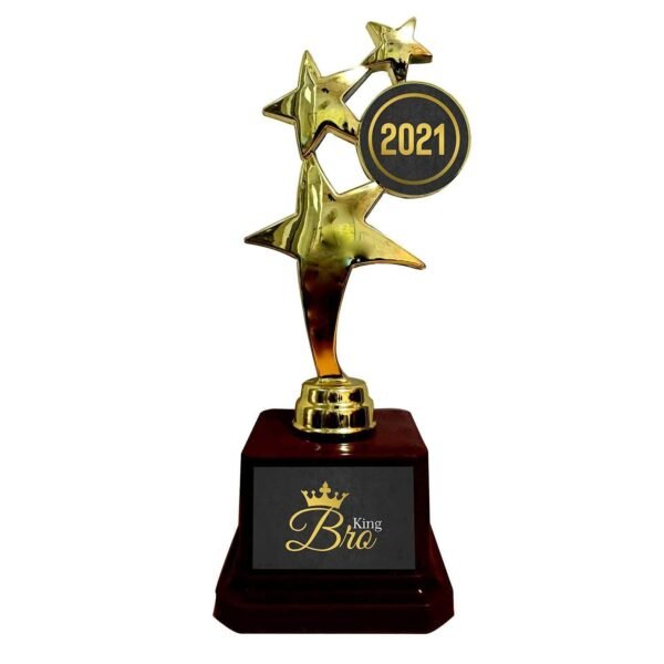 TheYaYaCafe Rakhi Gifts for Brother, to The Best Bhaiya Golden Award Star Trophy - Birthday Bhaidooj