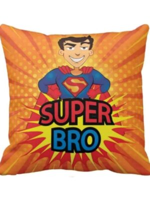 Super Bro Cushion Covers