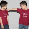 I Met My Big Little Brother Printed Cotton Sibling  T-Shirt