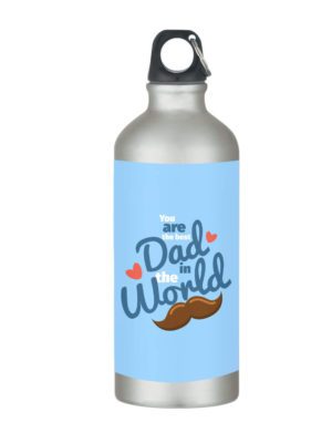 TheYaYaCafe You are The Best Dad in The World Stainless Steel Sipper Water Bottle