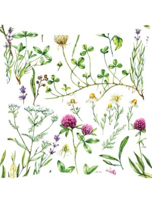 TheYaYaCafe Green Flaky Leaf Floral Flowers Printed Cotton Sofa Throw Cushion Cover (20X20 inches)