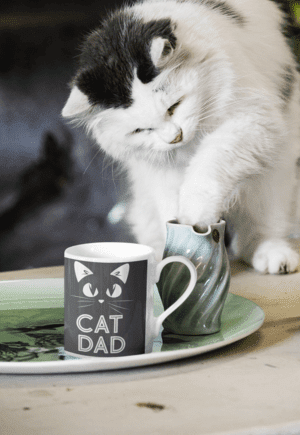 Cat Dad Coffee Mug