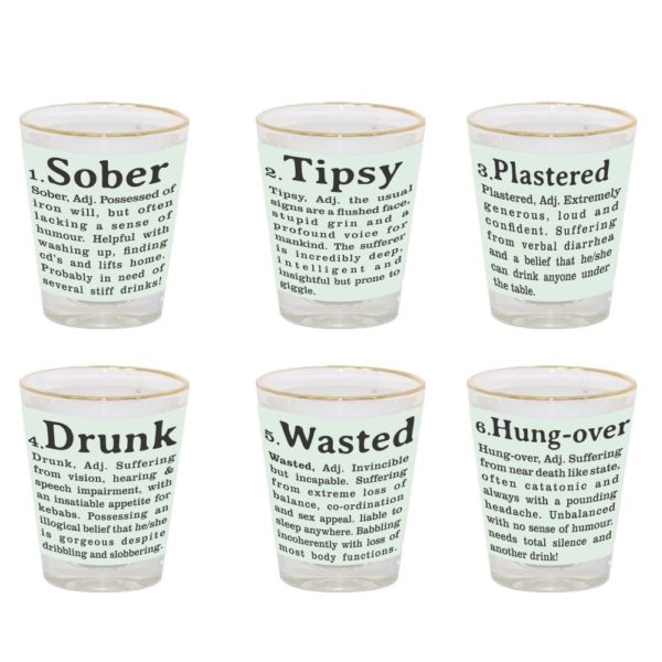 Drunk and Wasted Engraved Shot Glasses - Set of 6