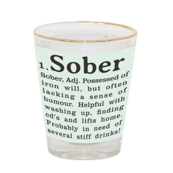 Drunk and Wasted Engraved Shot Glasses - Set of 6