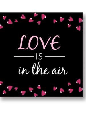 Love is in The Air Painting Canvas Frame