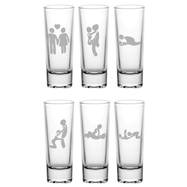 Naughty Sex Positions Engraved Shot Glasses Set of 6